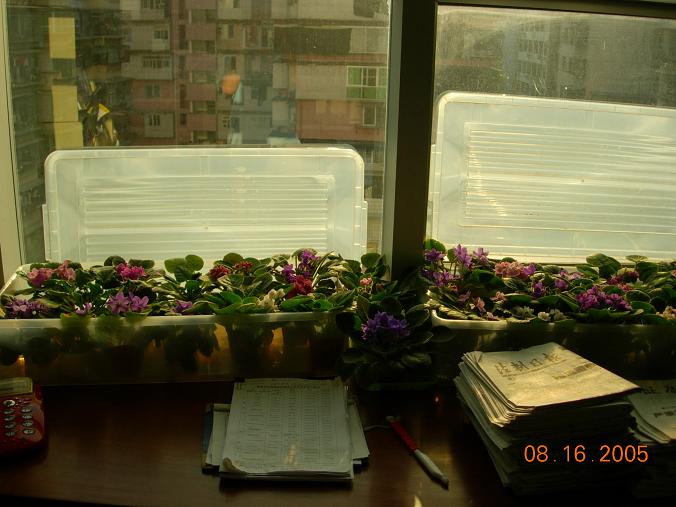 [��ˮ]��������ˮ��