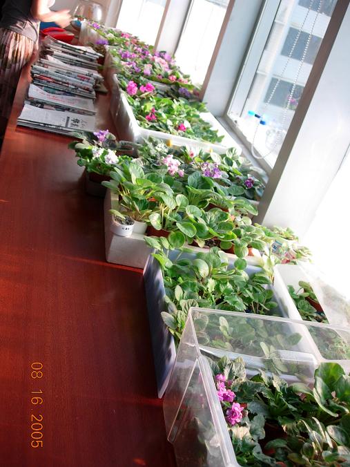 [��ˮ]��������ˮ��