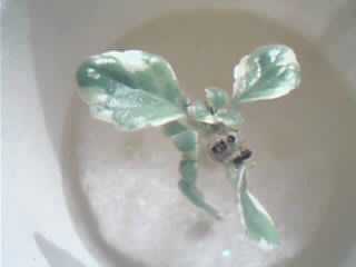 [����]�Ⱦ��ҵ�������