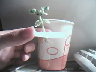 [����]�Ⱦ��ҵ�������