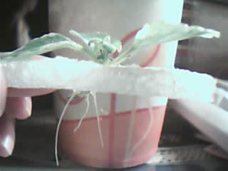 [����]�Ⱦ��ҵ�������