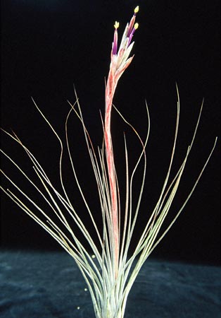 [����]��ؿ����������