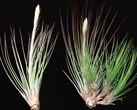 [����]��ؿ����������