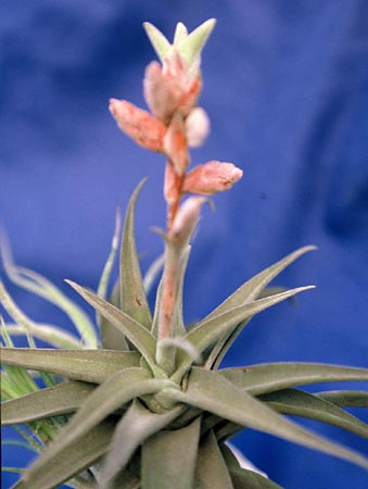 [����]��ؿ����������