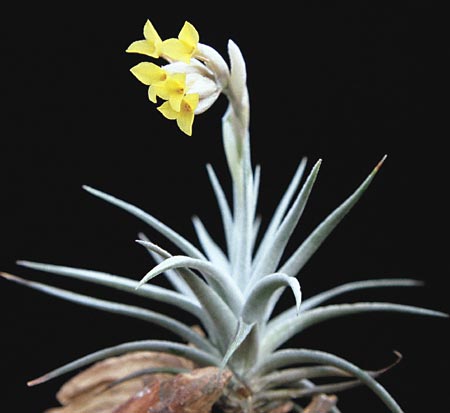 [����]��ؿ����������