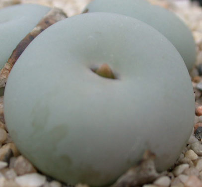 [����]��׶����---55¥��ʼ������ͨ��---