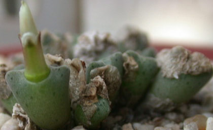 [����]��׶����---55¥��ʼ������ͨ��---