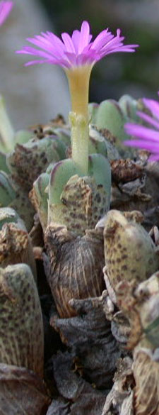 [����]��׶����---55¥��ʼ������ͨ��---