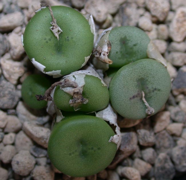 [����]��׶����---55¥��ʼ������ͨ��---