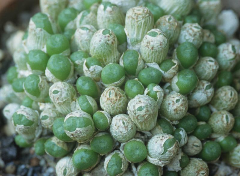 [����]��׶����---������ͨ�Ŀ�ʼ---