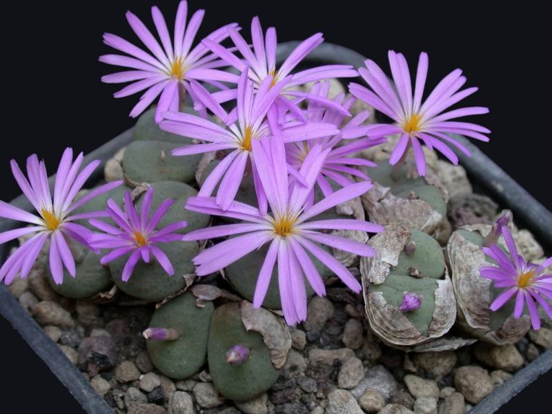 [����]��׶����---������ͨ�Ŀ�ʼ---