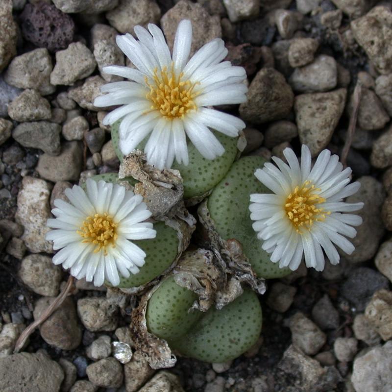 [����]��׶����---������ͨ�Ŀ�ʼ---