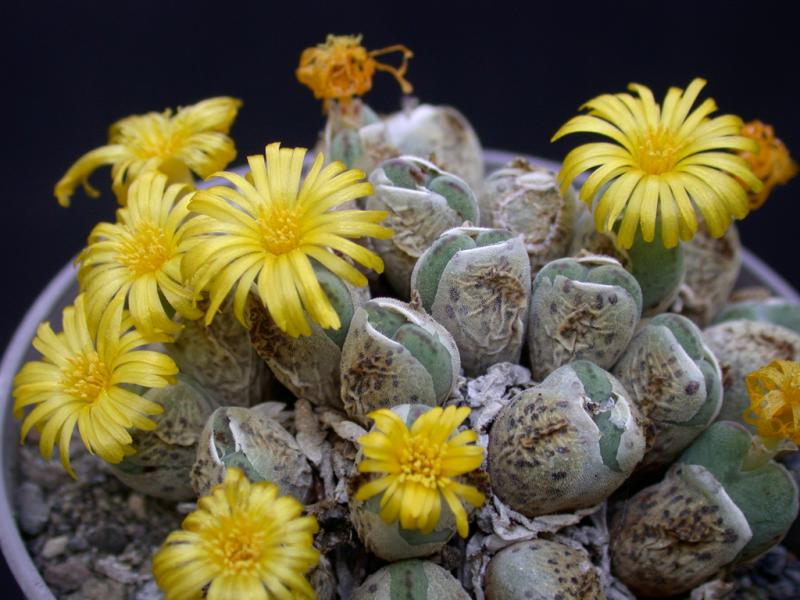 [����]��׶����---������ͨ�Ŀ�ʼ---