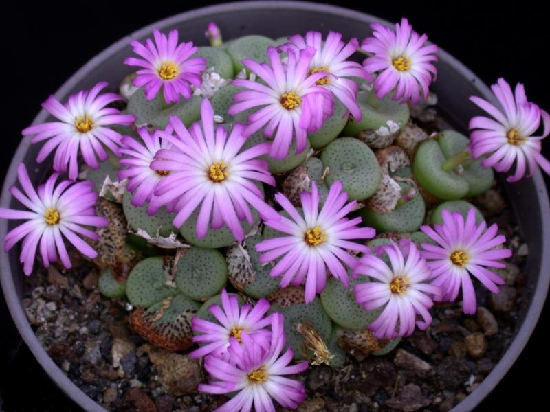 [����]��׶����---������ͨ�Ŀ�ʼ---