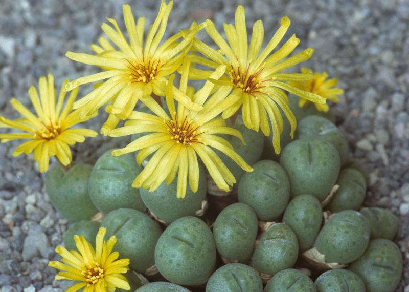 [����]��׶����---������ͨ�Ŀ�ʼ---