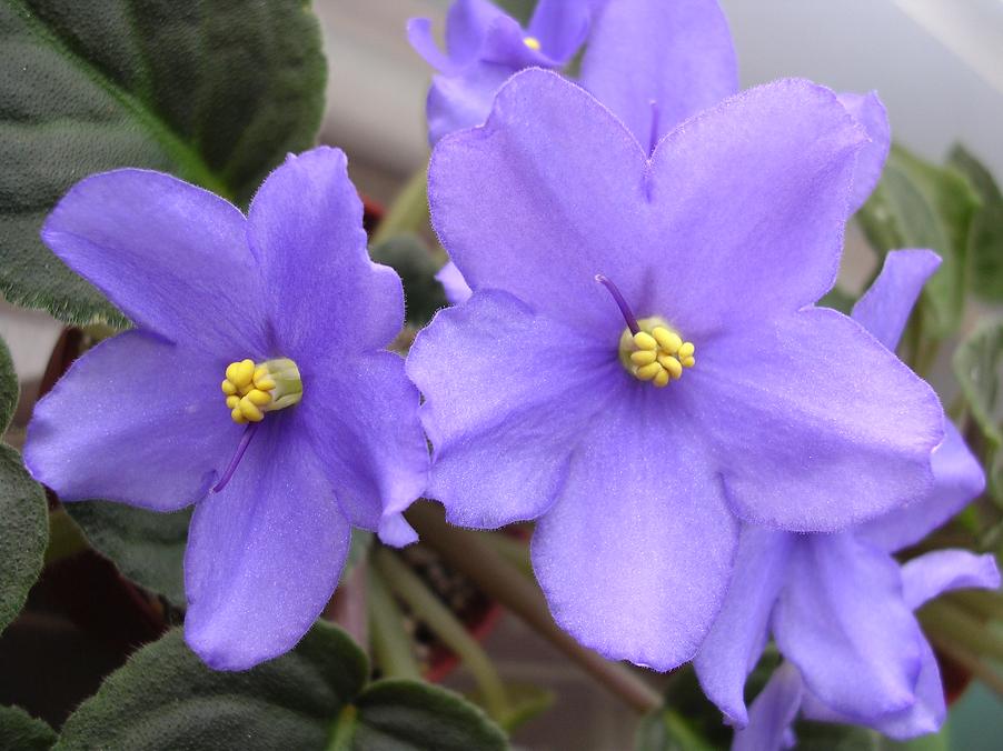 [��ˮ]��������ˮ��