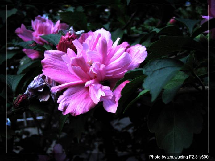 ��ͥ���Ȼ�������ͬһ����