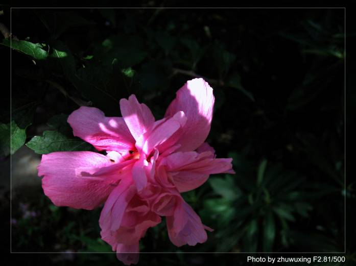 ��ͥ���Ȼ�������ͬһ����