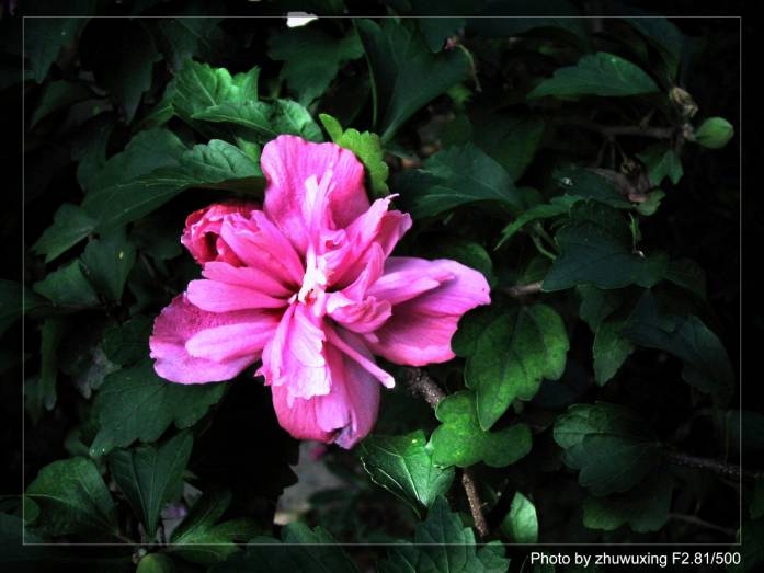 ��ͥ���Ȼ�������ͬһ����