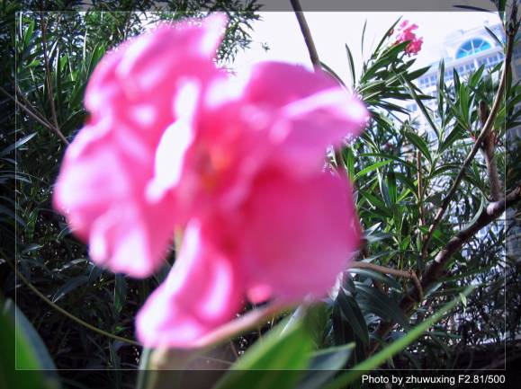 ��ͥ���Ȼ�������ͬһ����