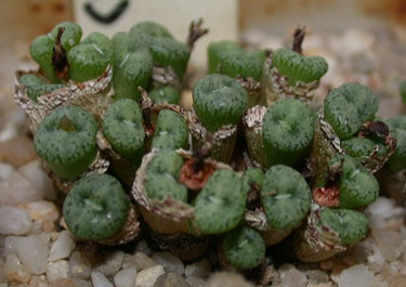 [����]��׶����---55¥��ʼ������ͨ��---