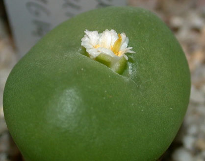 [����]��׶����---55¥��ʼ������ͨ��---