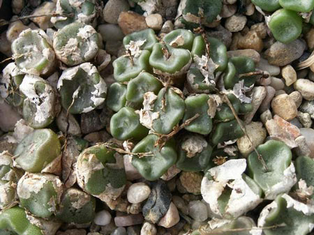 [����]��׶����---55¥��ʼ������ͨ��---