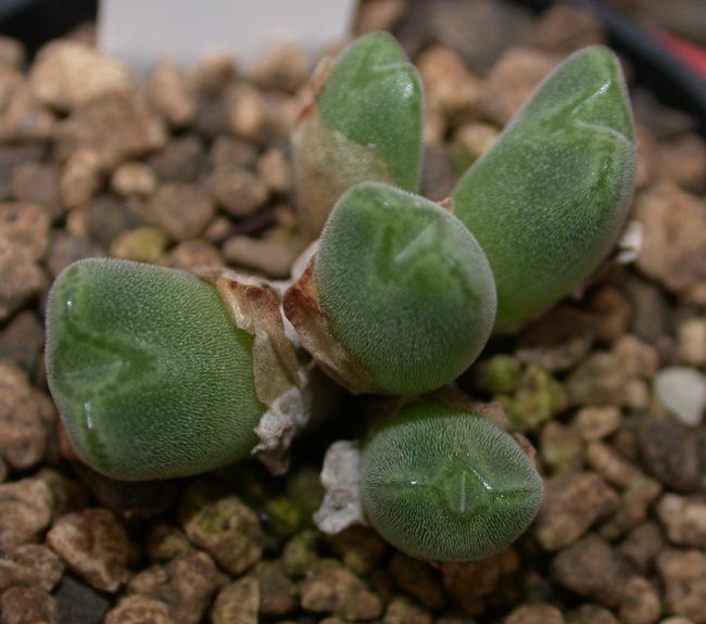 [����]��׶����---55¥��ʼ������ͨ��---