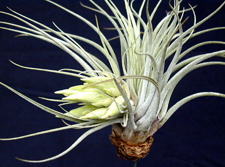 [����]��ؿ����������