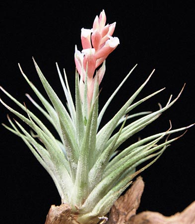 [����]��ؿ����������