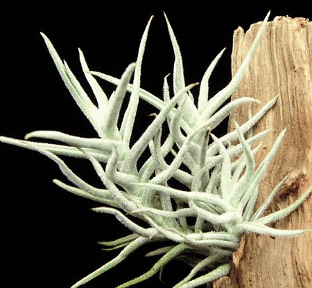 [����]��ؿ����������