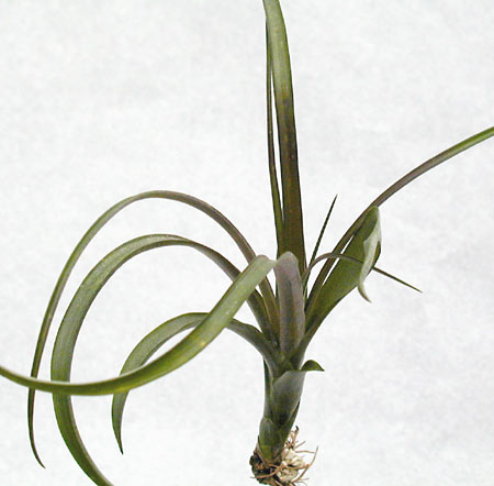 [����]��ؿ����������