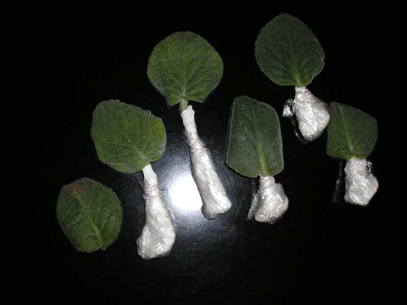 �е����......