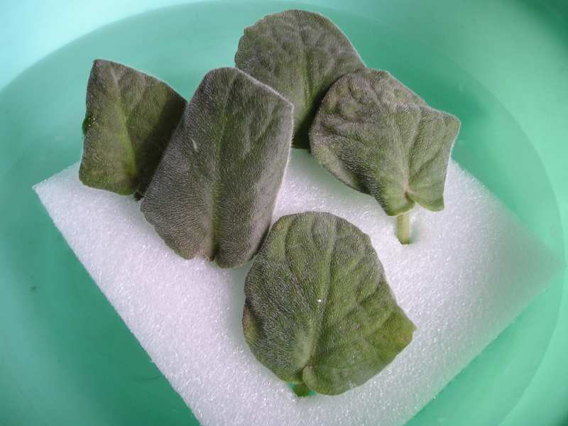 �е����......