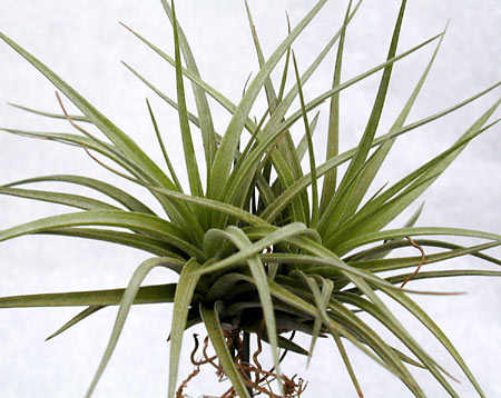 [����]��ؿ����������