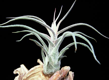 [����]��ؿ����������