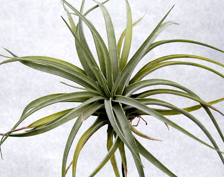 [����]��ؿ����������