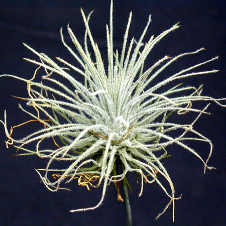 [����]��ؿ����������