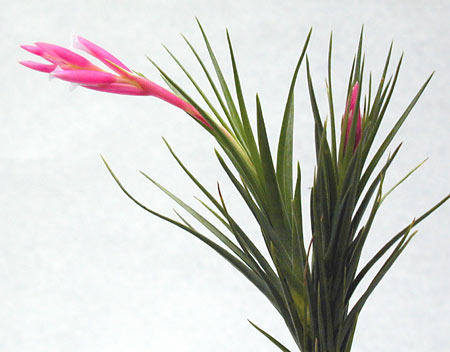 [����]��ؿ����������