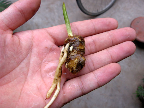 �����ҵİٺ���ô��!!