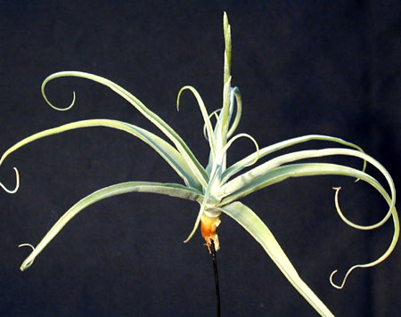 [����]��ؿ����������