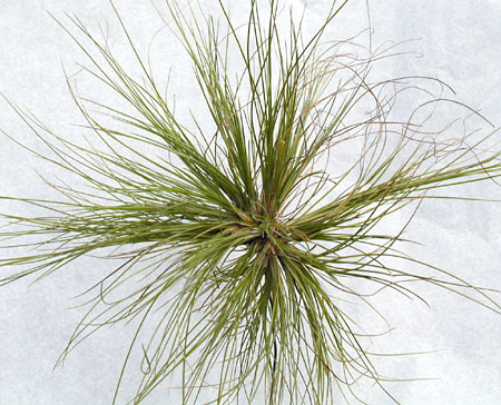 [����]��ؿ����������