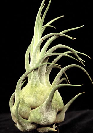 [����]��ؿ����������