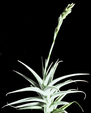 [����]��ؿ����������