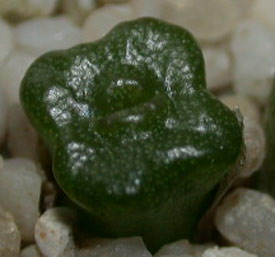 [����]��׶����---55¥��ʼ������ͨ��---