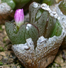 [����]��׶����---55¥��ʼ������ͨ��---