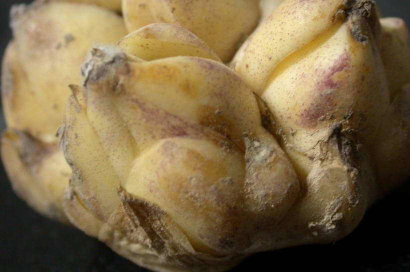 �����ҵİٺ���ô��!!