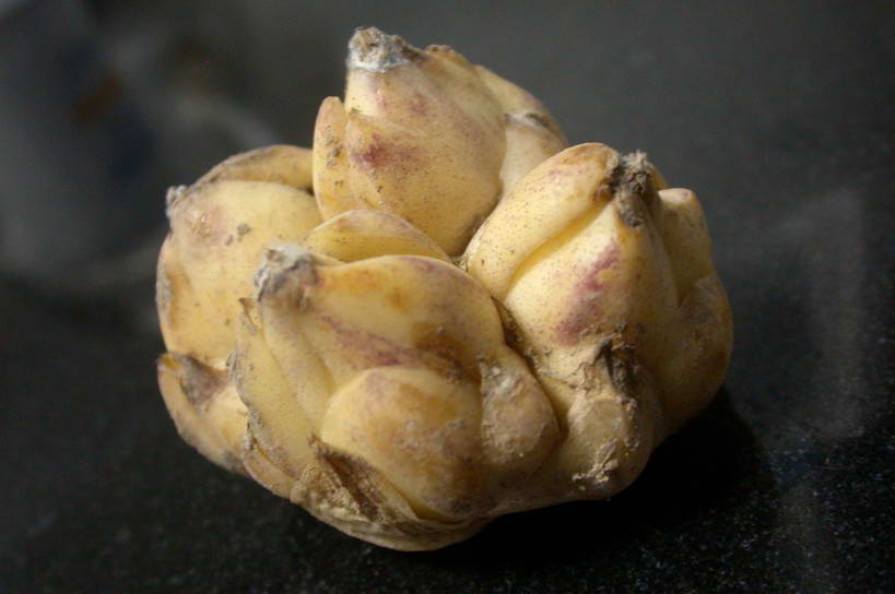 �����ҵİٺ���ô��!!