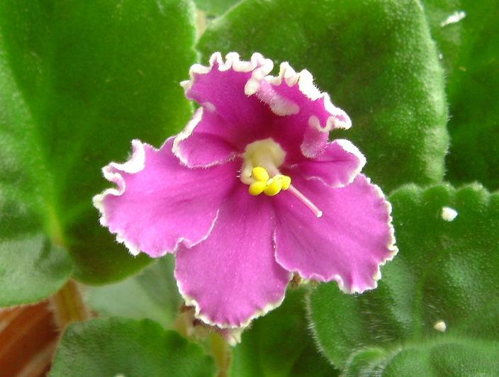 [��ˮ]��������ˮ��