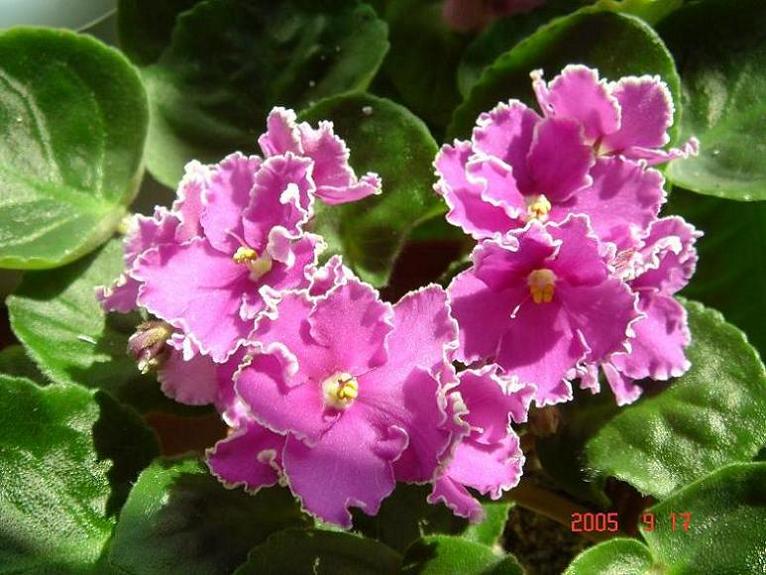 [��ˮ]��������ˮ��